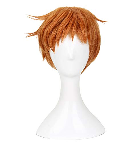 The Seven Deadly Sins: King Cosplay Wig