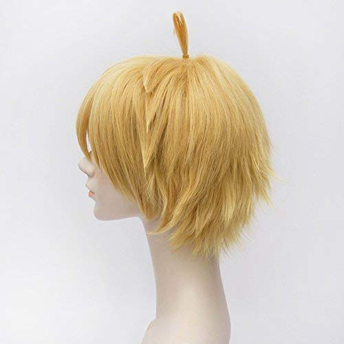 The Seven Deadly Sins: Meliodas Cosplay Wig