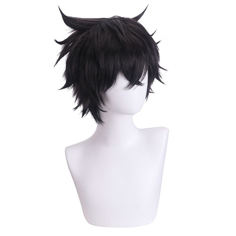 The Rising Of The Shield Hero: Naofumi Iwatani Cosplay Wig