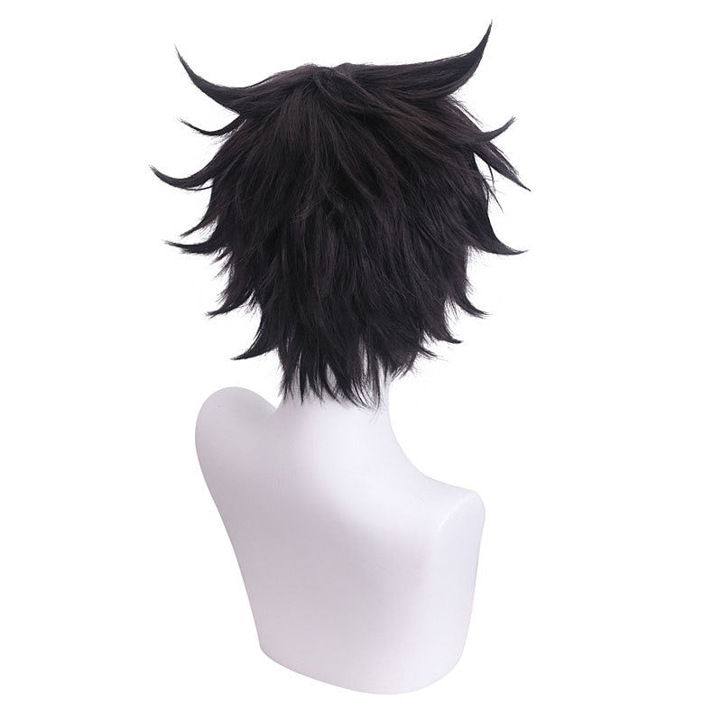 The Rising Of The Shield Hero: Naofumi Iwatani Cosplay Wig